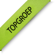New Ribbon